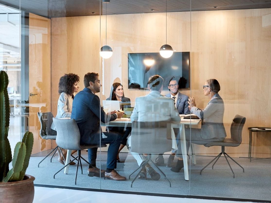 Diverse professionals in a glass-walled conference room discussing business, with a cactus in foreground.